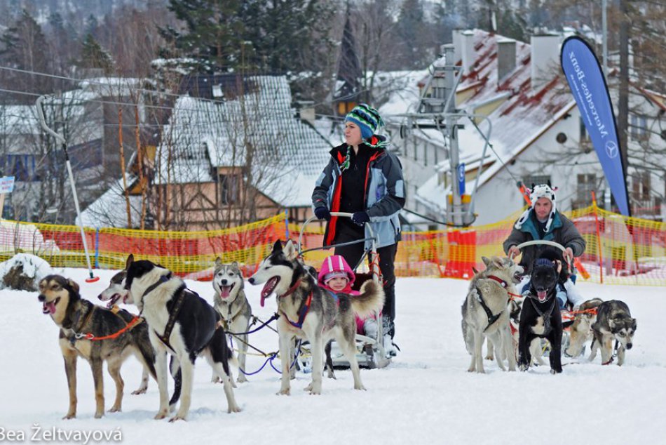 Ilustračný obrázok k článku Eskimácke mestečko pod Lomničákom: Snežné psy už tento víkend v Tatrách