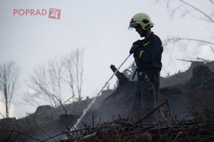 Ilustračný obrázok k článku Lesný požiar v nedostupnom teréne likvidovali desiatky hasičov. Situáciu komplikovala víchrica