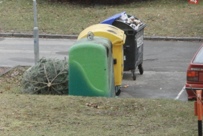 Ilustračný obrázok k článku Šokujúci nález v kontajneri: Čašníčka pri vyhadzovaní smetí objavila ľudskú lebku