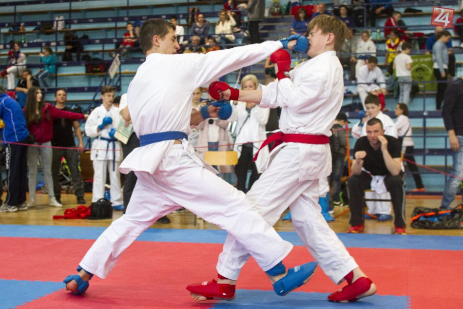Ilustračný obrázok k článku Úspešný týždeň Central karate klubu: Pre Poprad získal 45 medailí