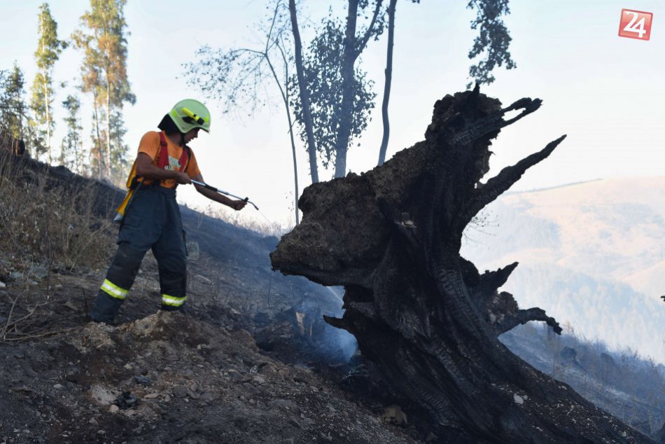 Požiar lesa nad Hranovnicou