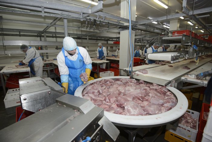 Ilustračný obrázok k článku Kauza brazílskeho mäsa: Inšpektori v ňom našli ďalší typ salmonely