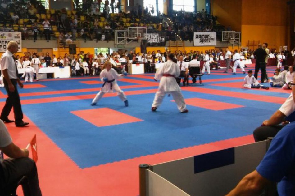 Ilustračný obrázok k článku Popradské karate v Maďarsku: Z Budapešti so zlatom aj s dvomi bronzmi