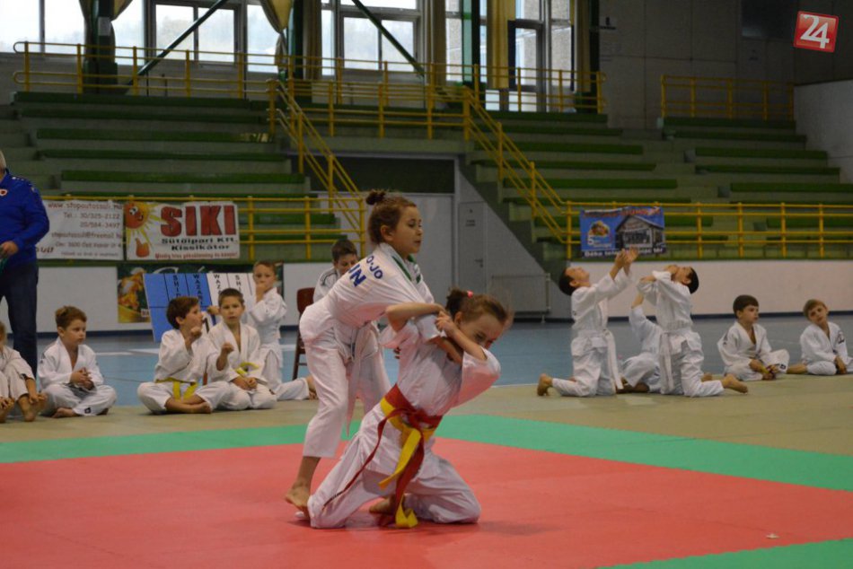 Ilustračný obrázok k článku TJ Mladosť Poprad dosiahol veľký úspech: Podtatranské judo najlepšie na východe