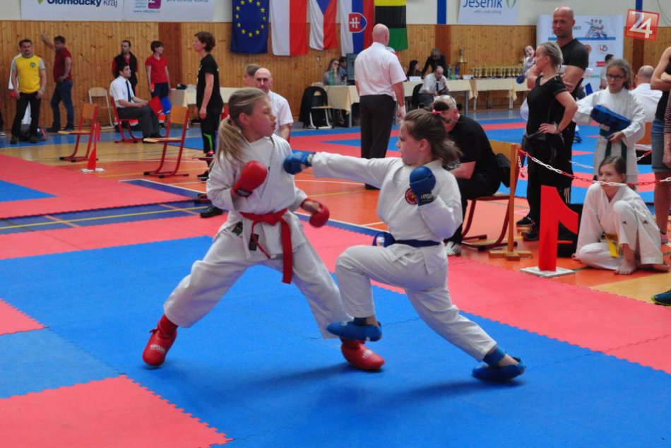 Ilustračný obrázok k článku Central karate klub Poprad sa stal najúspešnejším klubom v Čechách