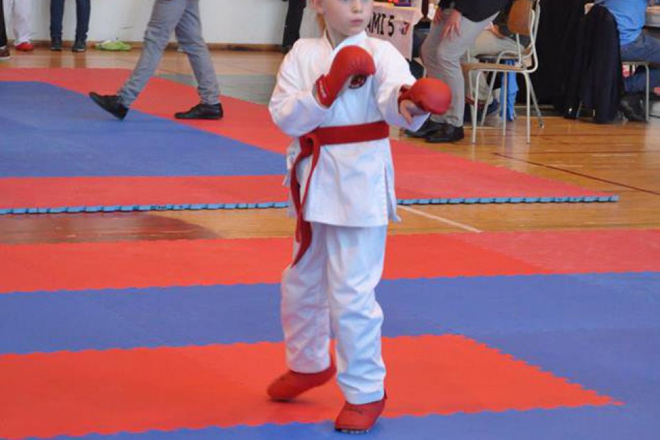 Central karate klub Poprad Trstená 11/2017