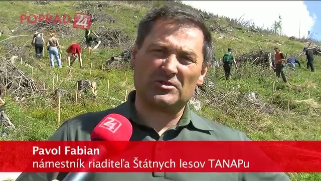 Dar pre Tatry: 25 000 stromčekov od spoločnosti Lidl